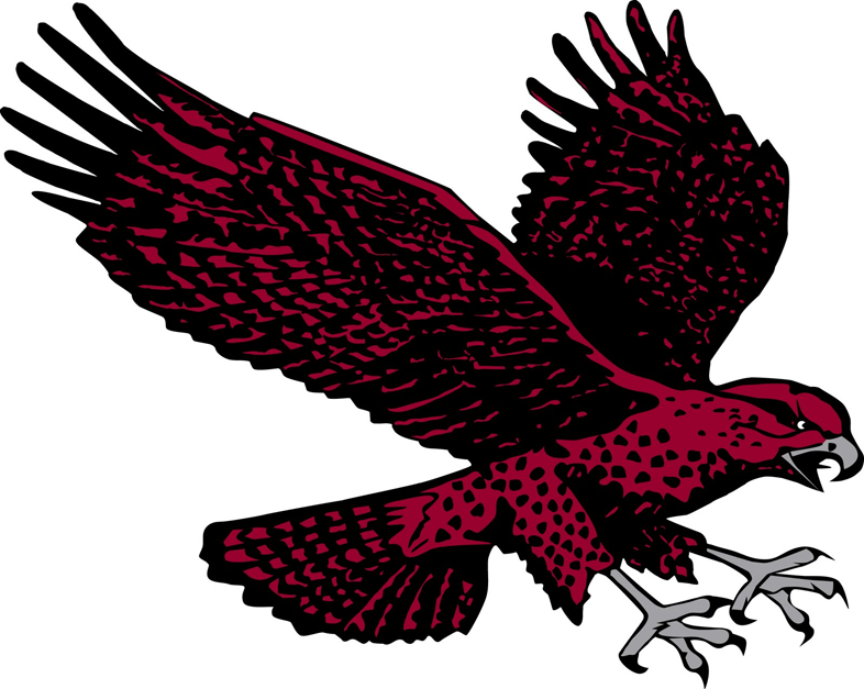 Maryland-Eastern Shore Hawks 2007-Pres Secondary Logo diy iron on heat transfer
